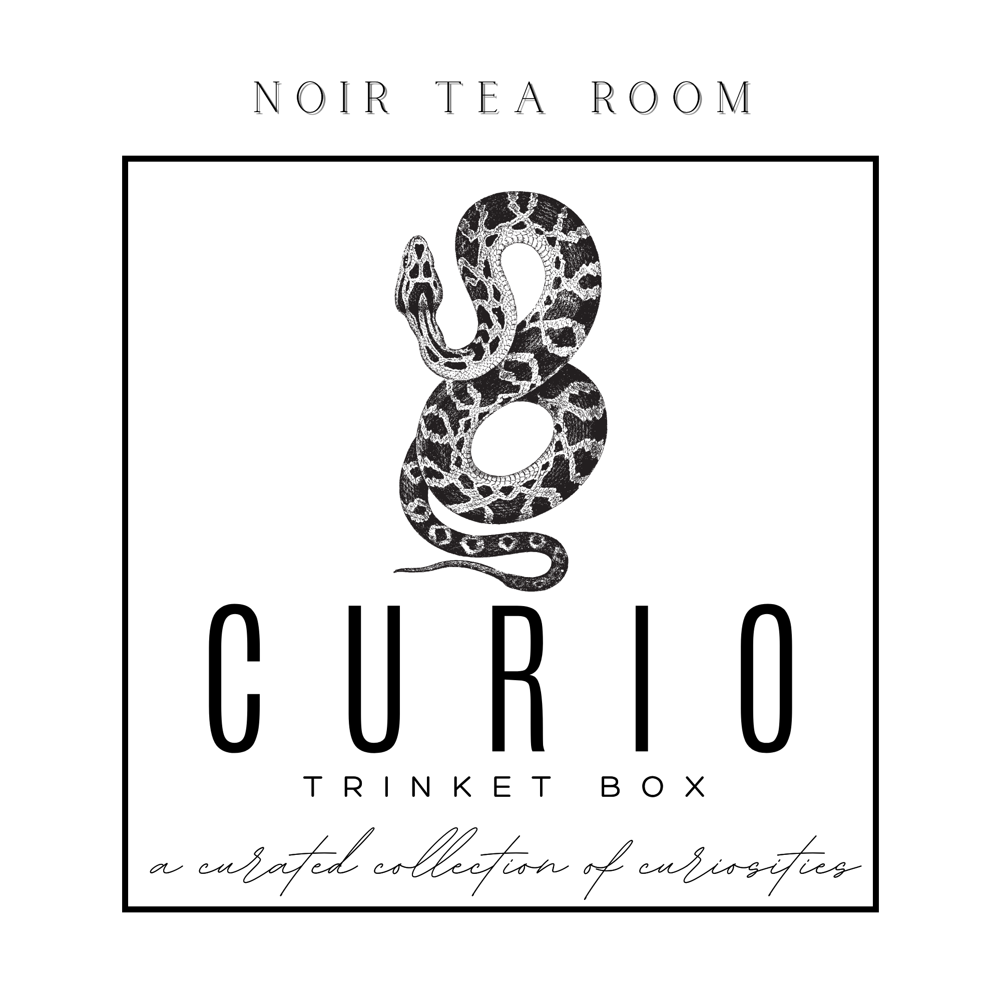Curio Trinket Tin