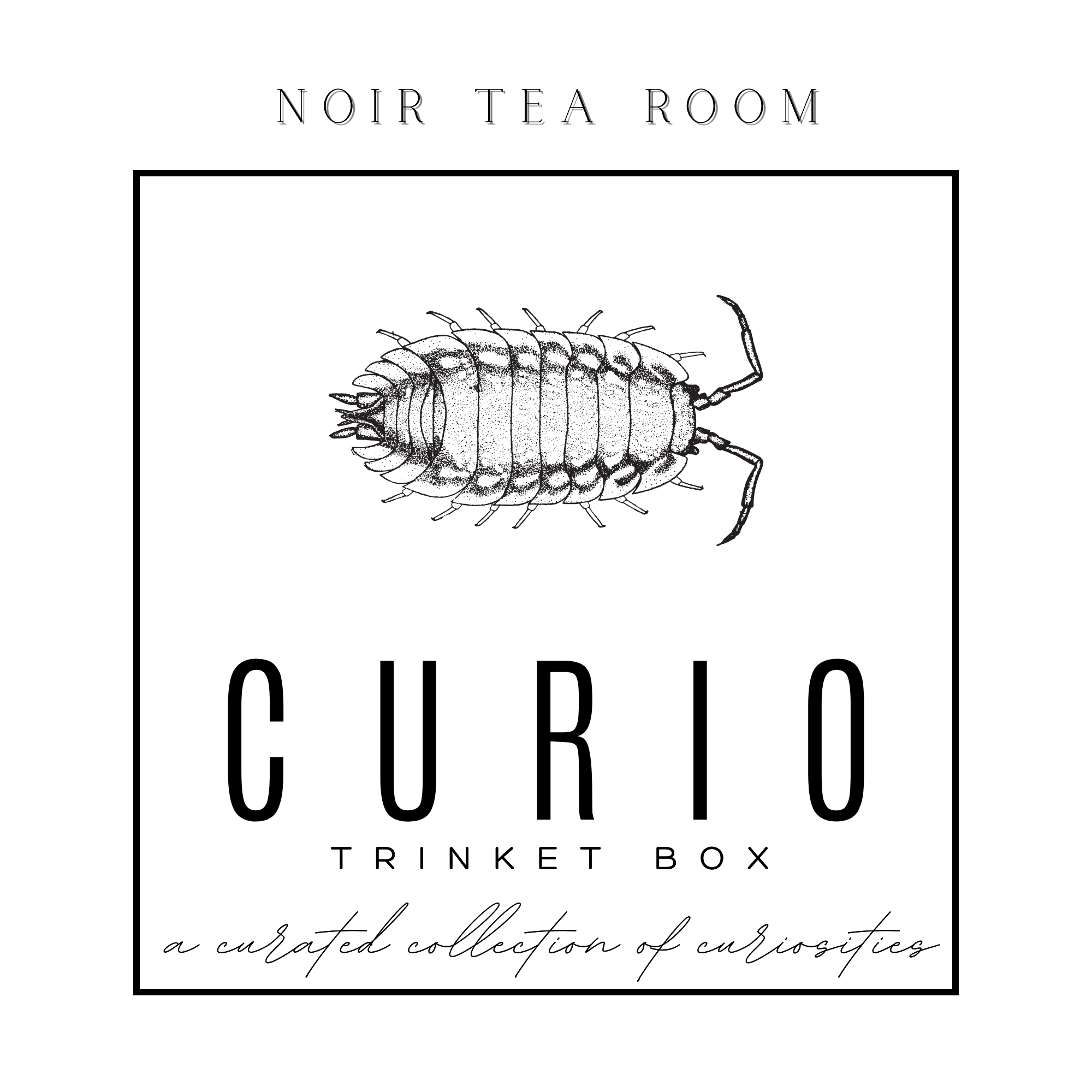 Curio Trinket Tin