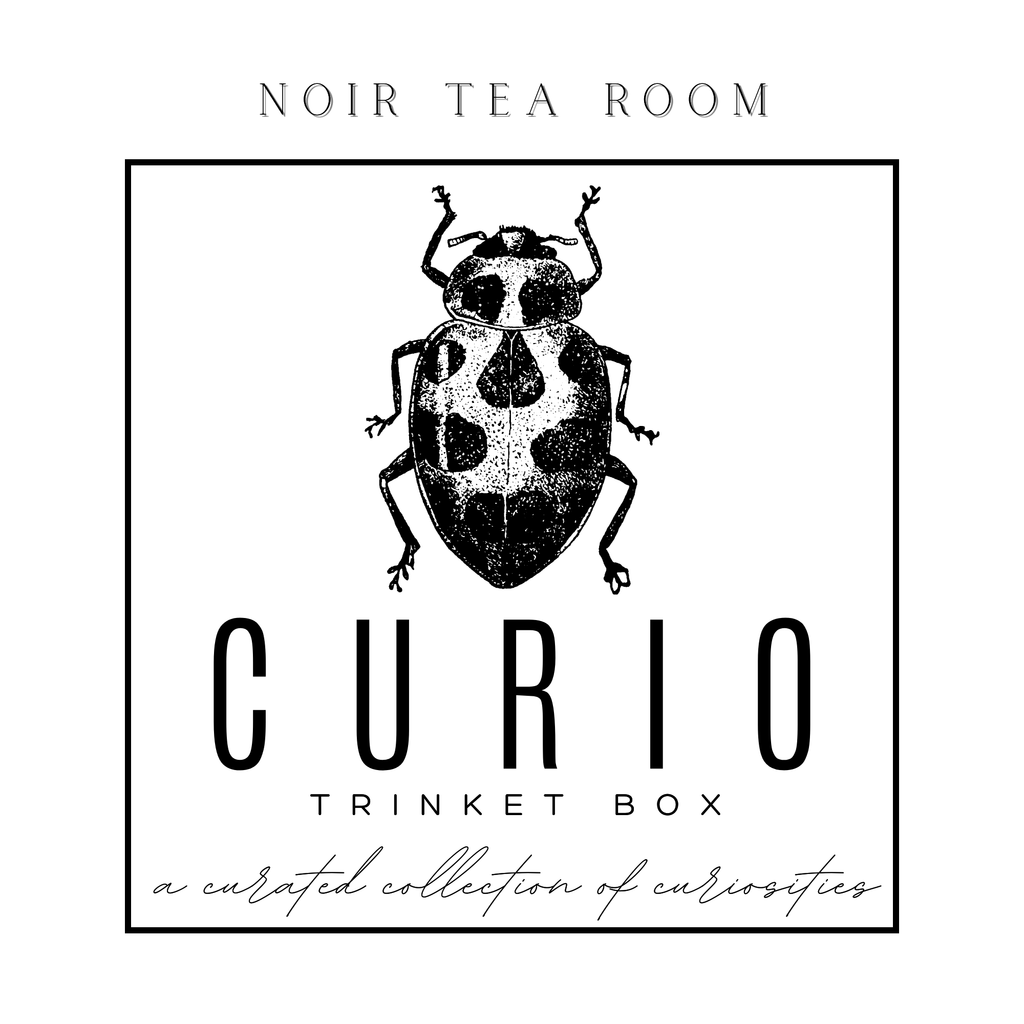 Curio Trinket Tin