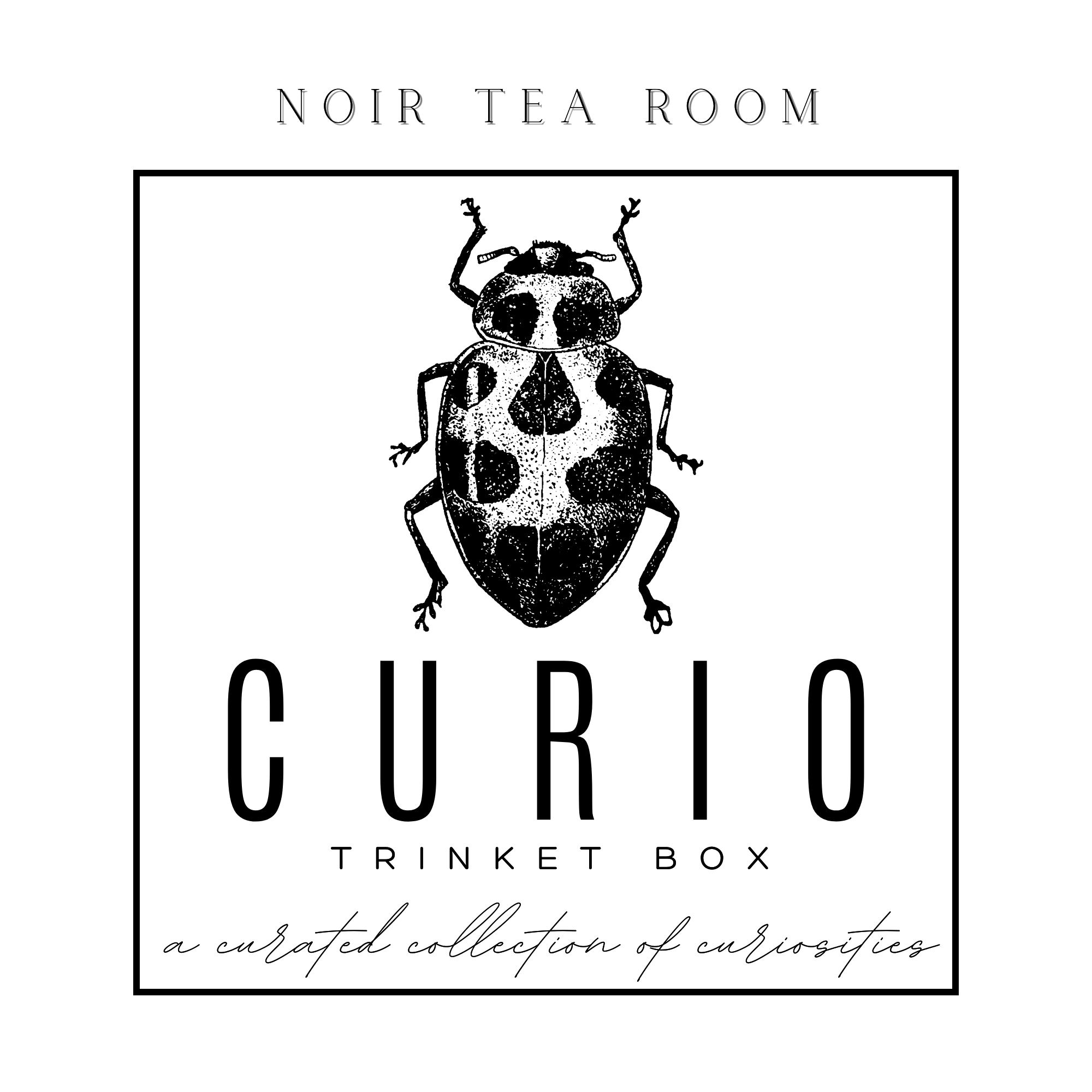 Curio Trinket Tin