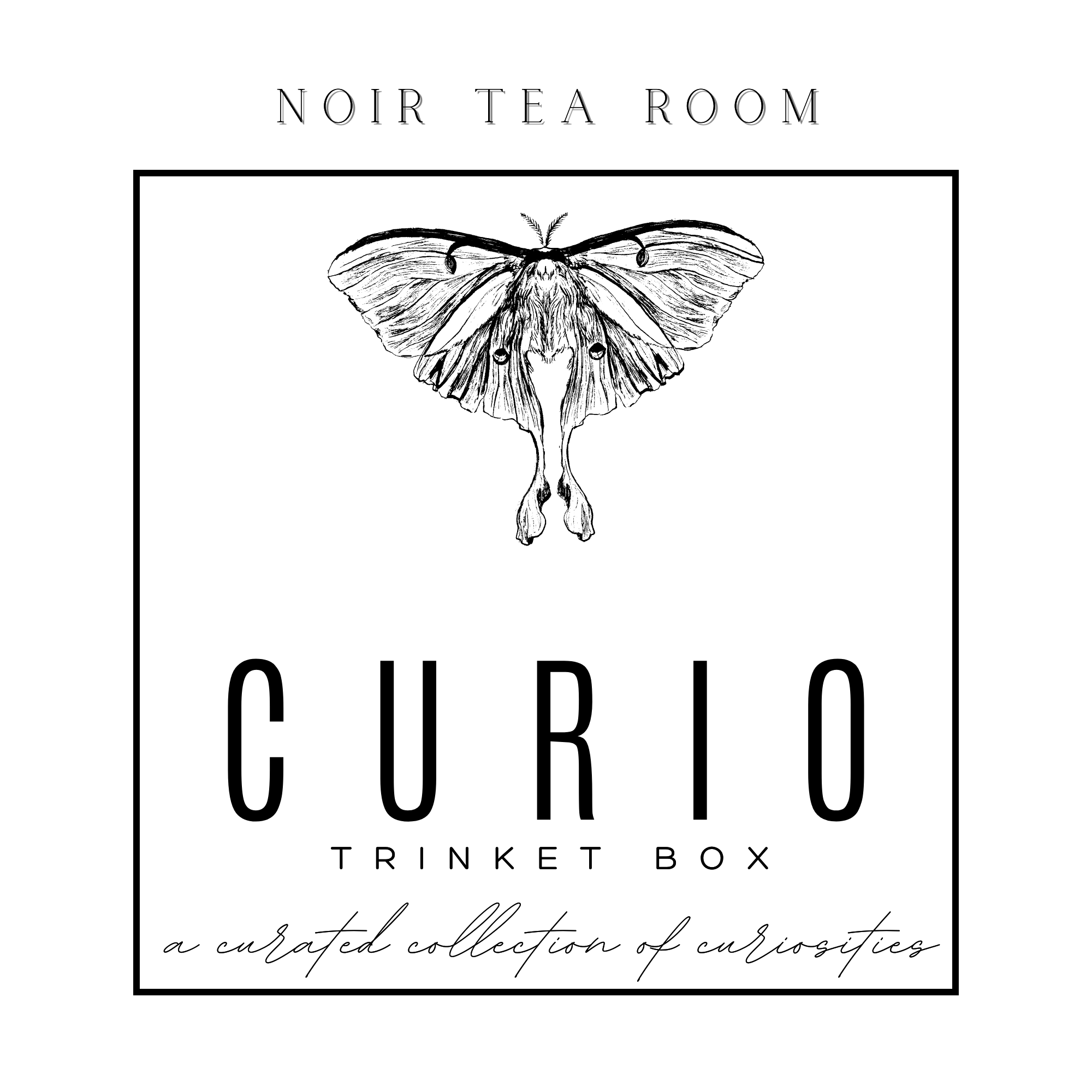 Curio Trinket Tin