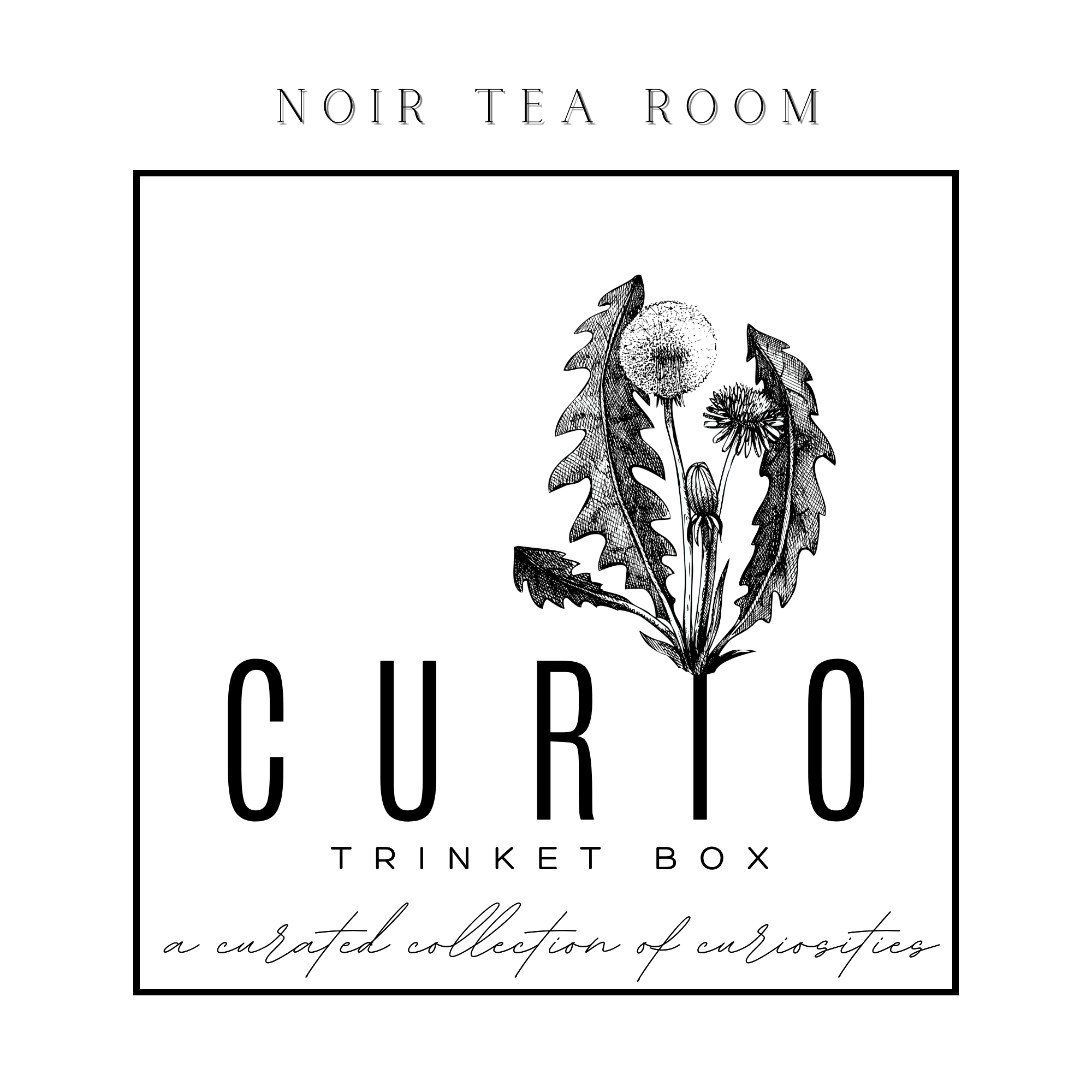 Curio Trinket Tin