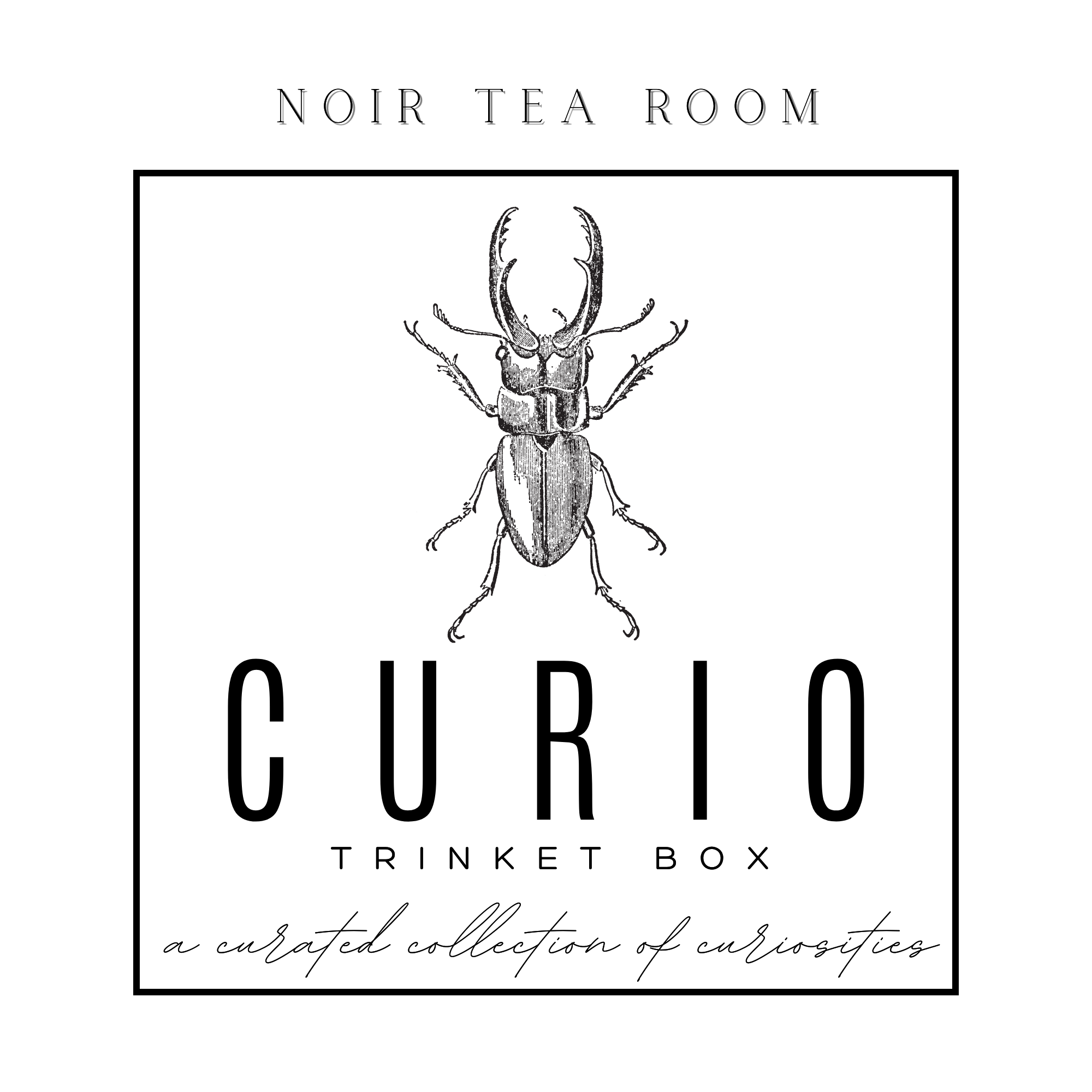 Curio Trinket Tin