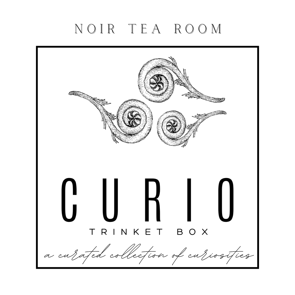 Curio Trinket Tin