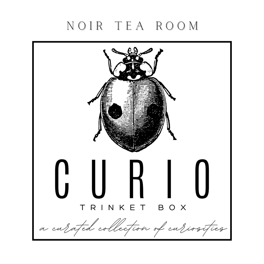 Curio Trinket Tin