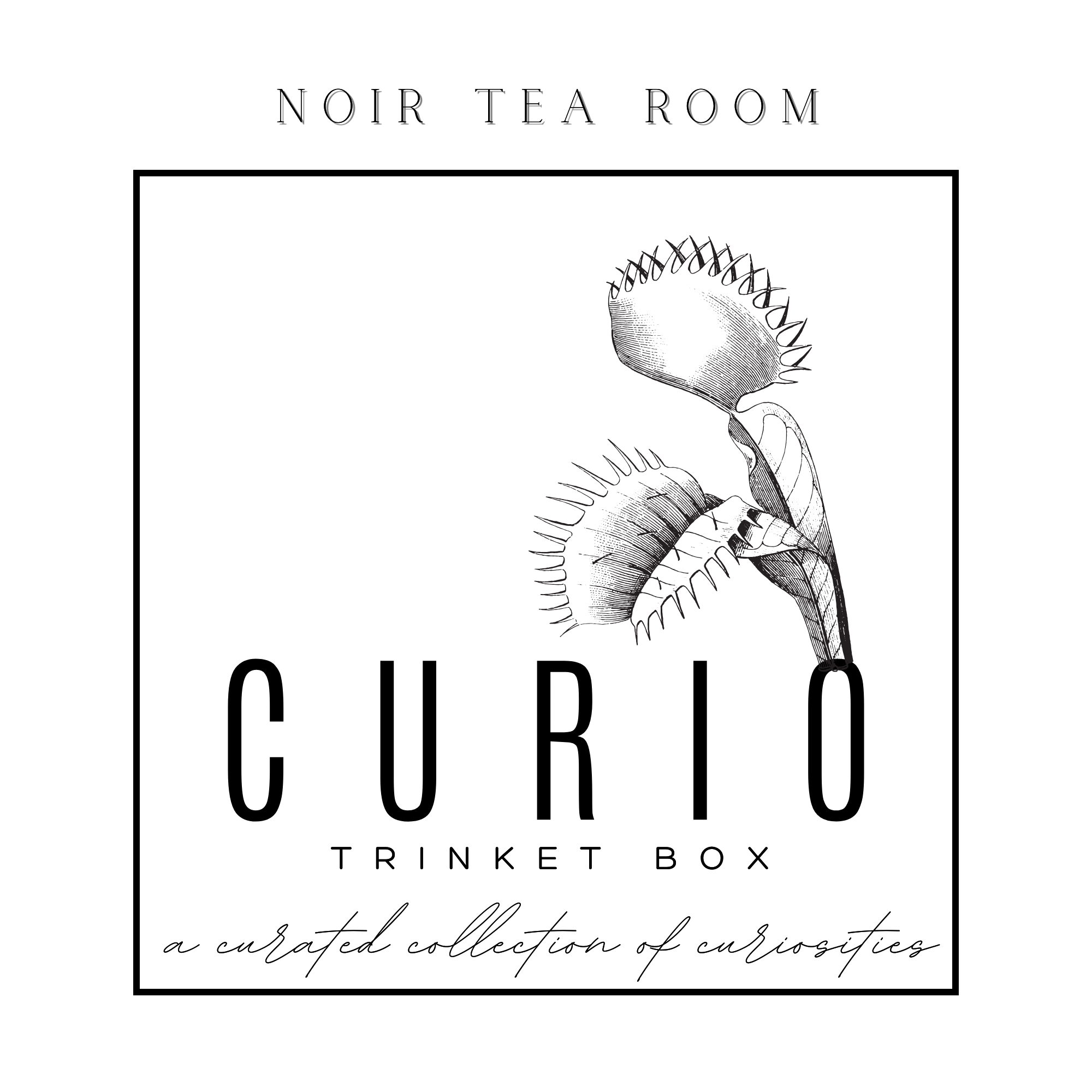 Curio Trinket Tin