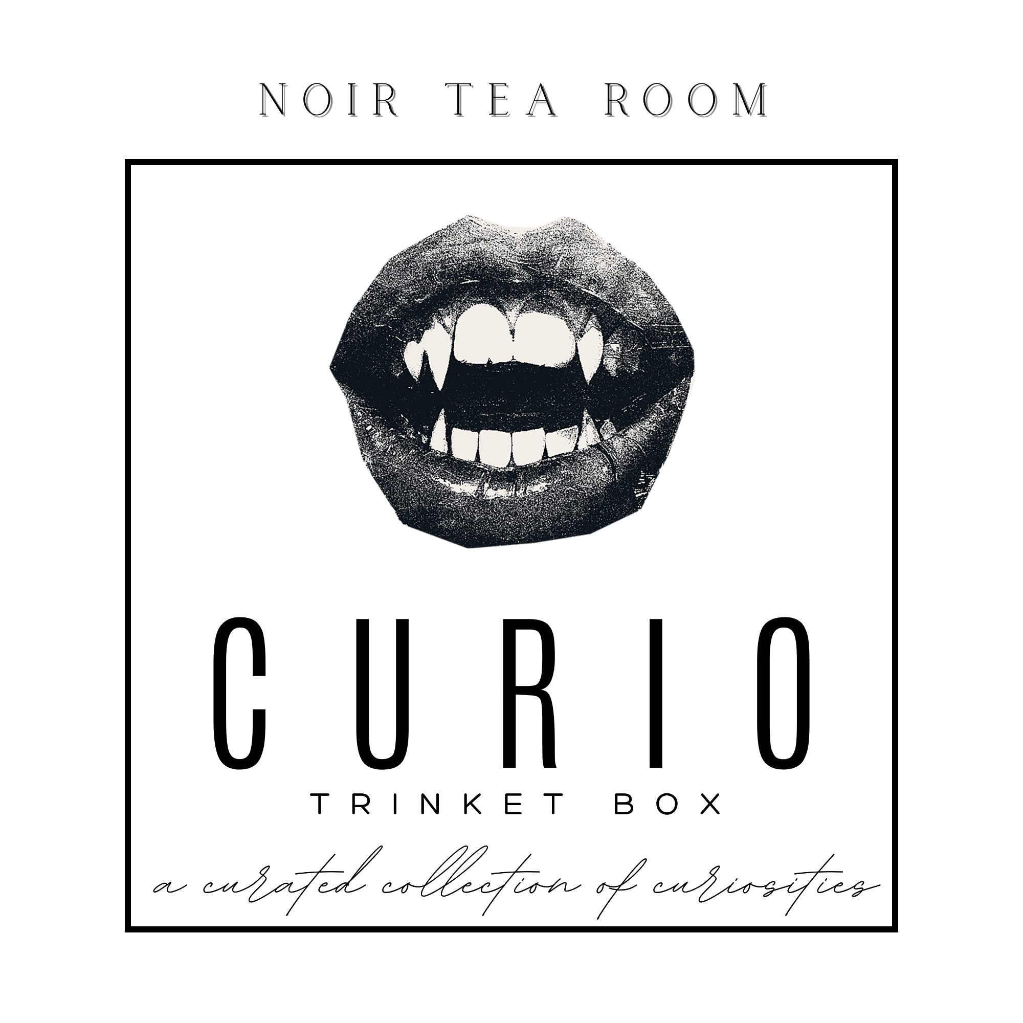 Curio Trinket Tin
